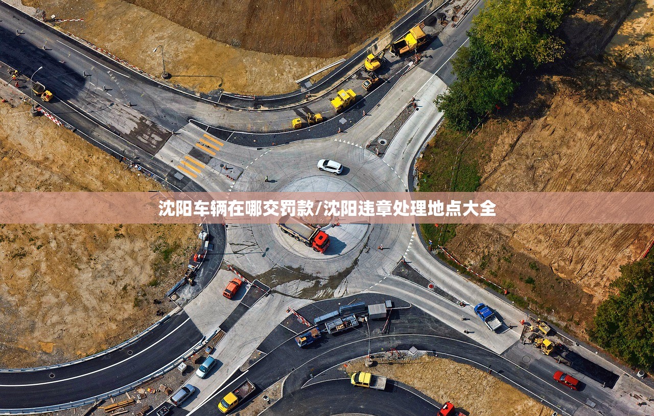 沈阳车辆在哪交罚款/沈阳违章处理地点大全