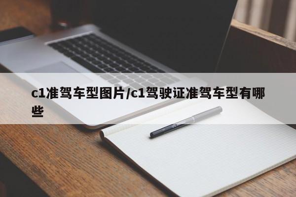 c1准驾车型图片/c1驾驶证准驾车型有哪些