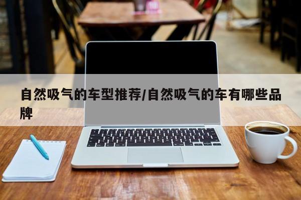 自然吸气的车型推荐/自然吸气的车有哪些品牌