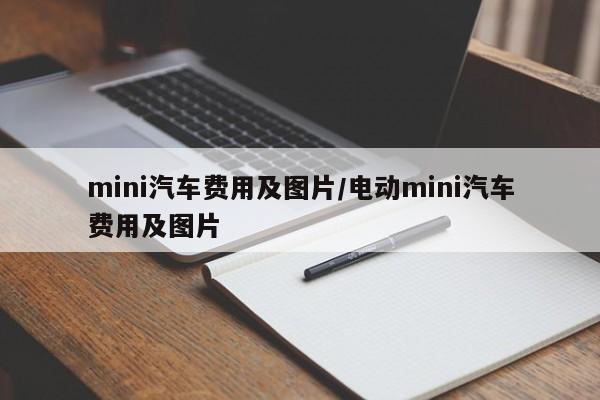 mini汽车费用及图片/电动mini汽车费用及图片