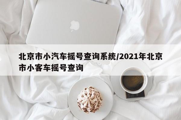 北京市小汽车摇号查询系统/2021年北京市小客车摇号查询