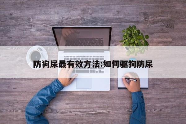 防狗尿最有效方法:如何驱狗防尿