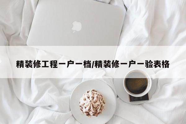 精装修工程一户一档/精装修一户一验表格