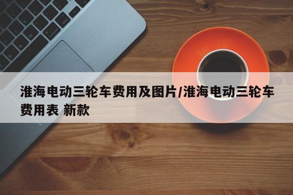 淮海电动三轮车费用及图片/淮海电动三轮车费用表 新款