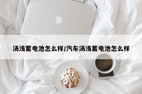 汤浅蓄电池怎么样/汽车汤浅蓄电池怎么样