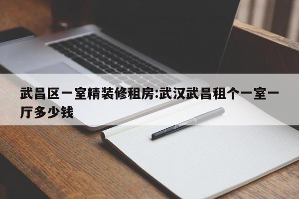 武昌区一室精装修租房:武汉武昌租个一室一厅多少钱