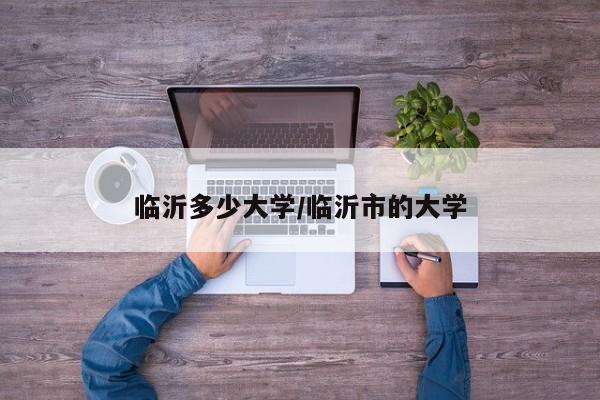 临沂多少大学/临沂市的大学