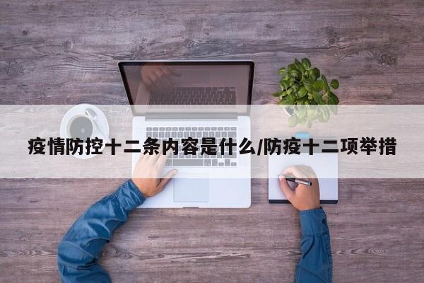 疫情防控十二条内容是什么/防疫十二项举措