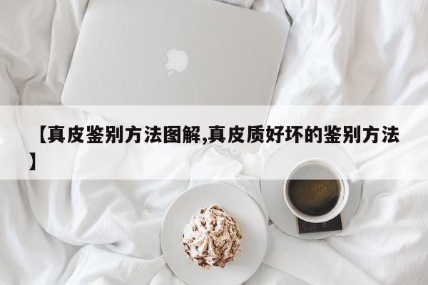 【真皮鉴别方法图解,真皮质好坏的鉴别方法】