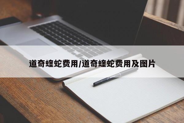 道奇蝰蛇费用/道奇蝰蛇费用及图片